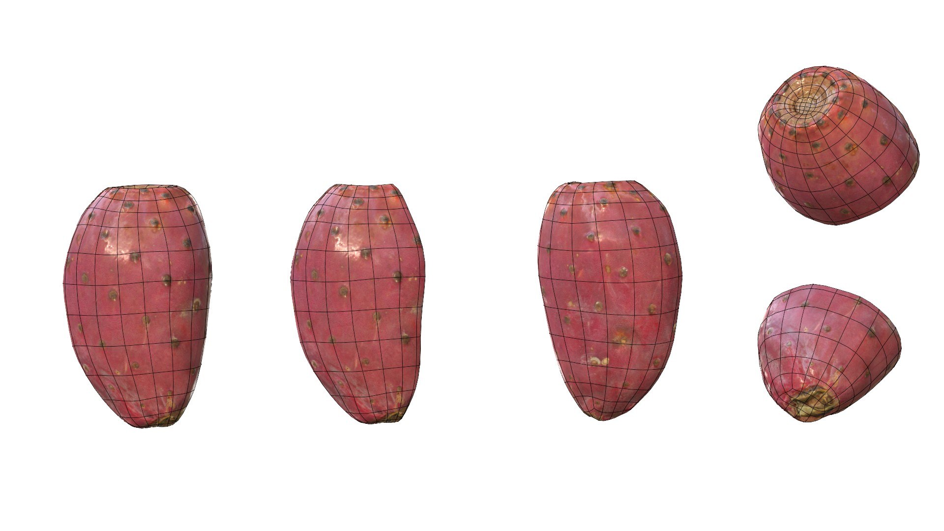 3D Prickly Pear Red model https://p.turbosquid.com/ts-thumb/zq/DbsNmv/zi/ppredwire9/jpg/1693818731/1920x1080/fit_q87/64025128aabd9a040492cc1b7f326ed9c48290a4/ppredwire9.jpg