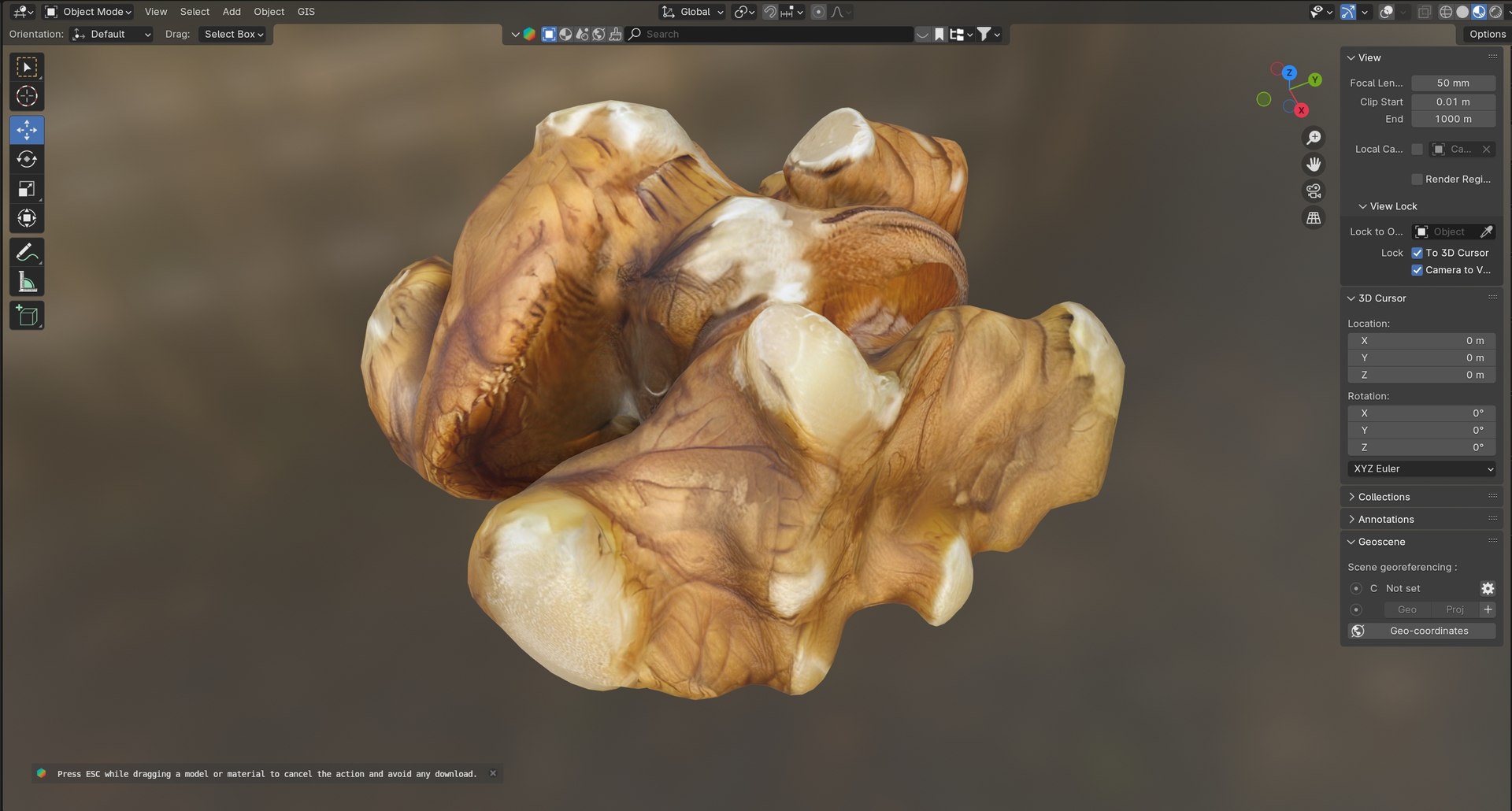 3D Model Walnut Kernel V4 - TurboSquid 2397363