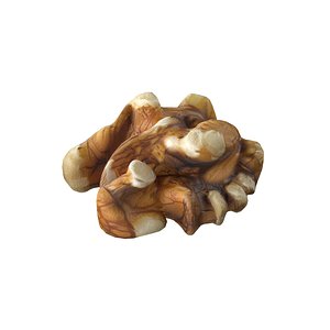 3D model Walnut kernel v4