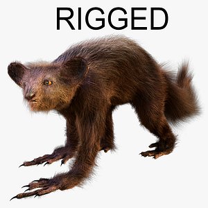Aye Aye