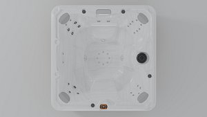Sundance Spas Edison 3D model