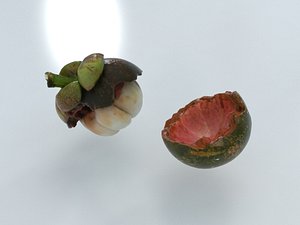 mangosteen open 3D model
