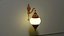 Wall mounted Lamp Lights 3D