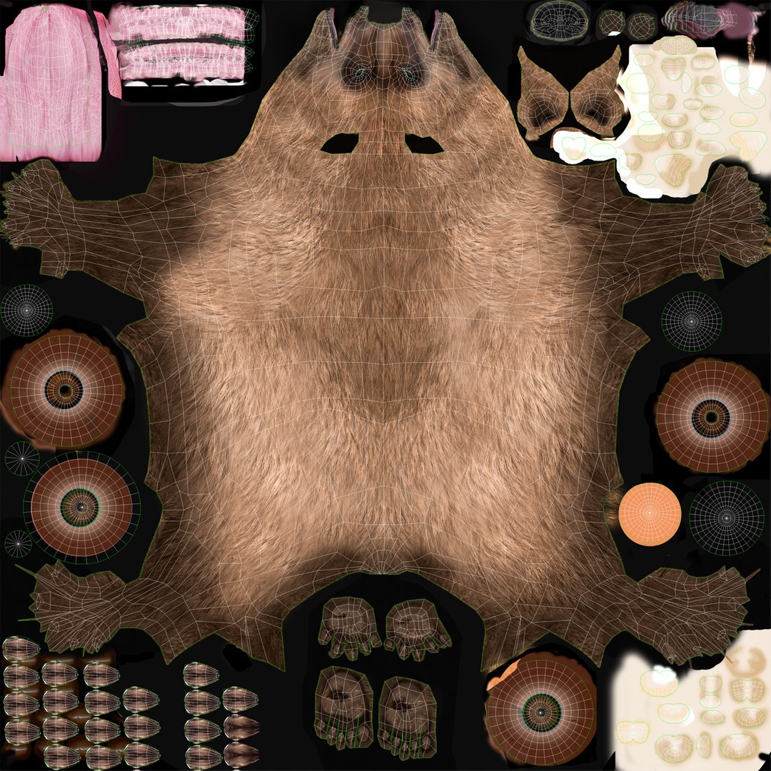 3d model of grizzly bear pose 2 https://p.turbosquid.com/ts-thumb/zq/h2BzR6/EmOdW1Kg/grizzlybearpose2_3/jpg/1412092875/1920x1080/fit_q87/0150982789c29cf32059ec6e9507a0788f44c97e/grizzlybearpose2_3.jpg