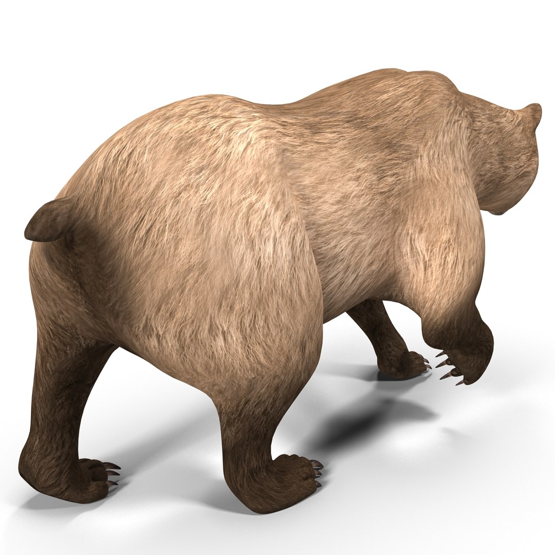 3d model of grizzly bear pose 2 https://p.turbosquid.com/ts-thumb/zq/h2BzR6/NJ04xxmP/grizzlybearpose2_10/jpg/1412092891/1920x1080/fit_q87/ec062ce12b720f0ff0670e0dbf6df820cf0463cb/grizzlybearpose2_10.jpg
