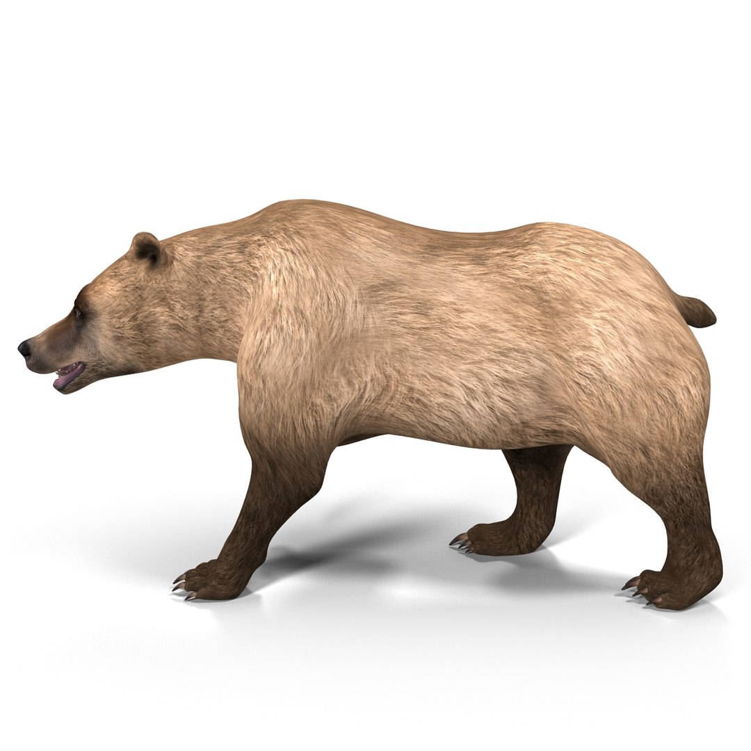 3d model of grizzly bear pose 2 https://p.turbosquid.com/ts-thumb/zq/h2BzR6/V9yDuARc/grizzlybearpose2_8/jpg/1412092906/1920x1080/fit_q87/f578686a8066806f5e687ac37836bcea09795959/grizzlybearpose2_8.jpg