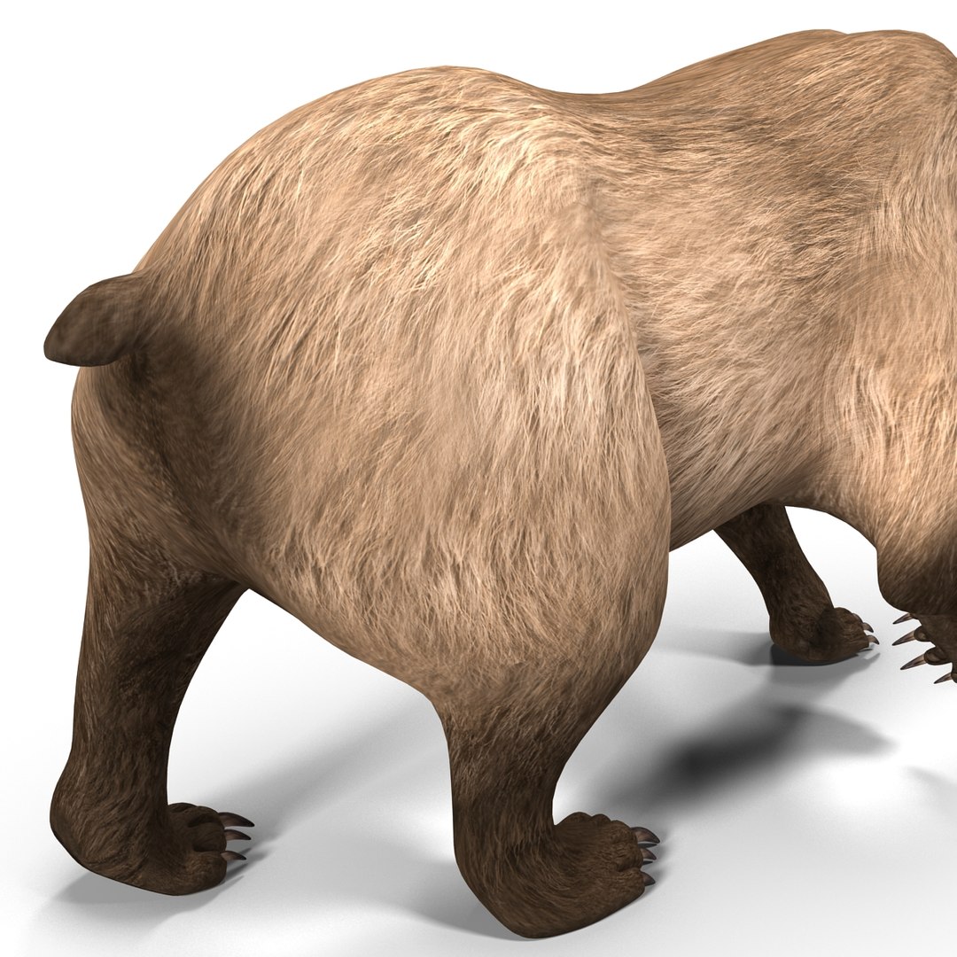 3d model of grizzly bear pose 2 https://p.turbosquid.com/ts-thumb/zq/h2BzR6/k1XmJGa4/grizzlybearpose2_14/jpg/1412092917/1920x1080/fit_q87/3128eddf525bf3e630305342ad11479f5aac8f7d/grizzlybearpose2_14.jpg