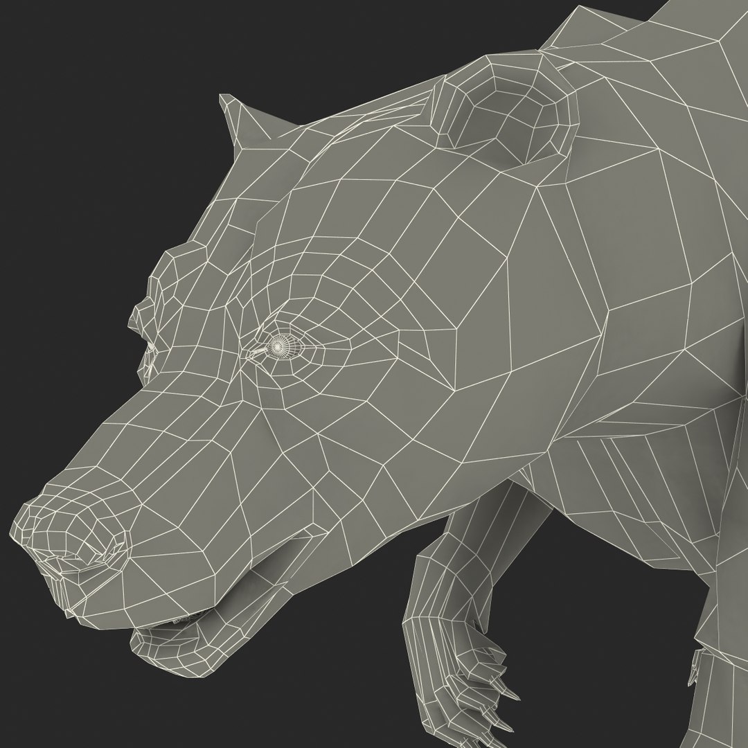3d model of grizzly bear pose 2 https://p.turbosquid.com/ts-thumb/zq/h2BzR6/oUQ38Rpb/grizzlybearpose2_16/jpg/1412092926/1920x1080/fit_q87/f3ef0ec39ecf169cff5488f61c2eb7659b1c628c/grizzlybearpose2_16.jpg