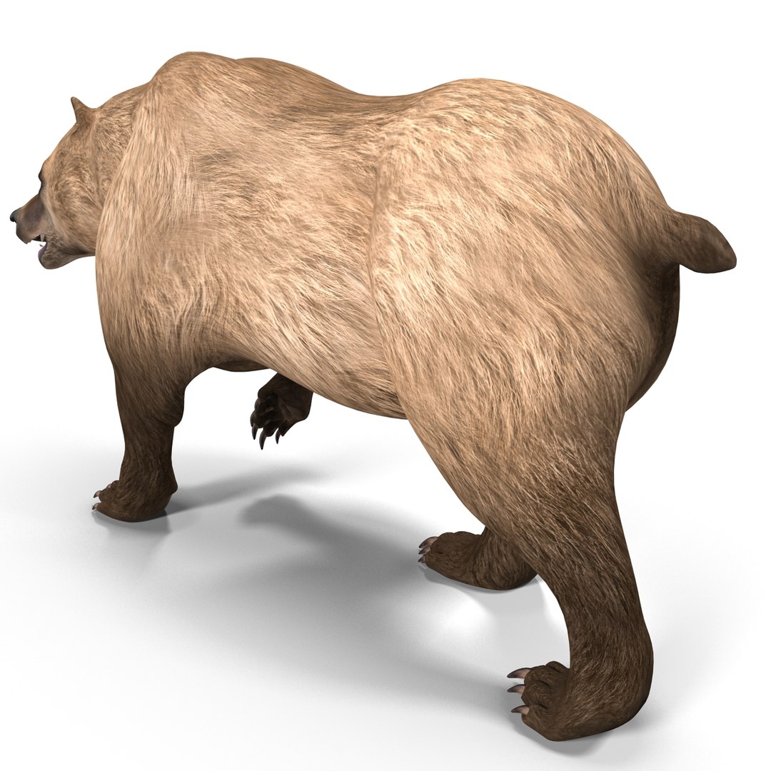 3d model of grizzly bear pose 2 https://p.turbosquid.com/ts-thumb/zq/h2BzR6/oiLVS11H/grizzlybearpose2_11/jpg/1412092894/1920x1080/fit_q87/1d0981259941bd290557c96ecd06fae03b9621fa/grizzlybearpose2_11.jpg