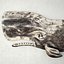Hand-Carved Sperm Whale