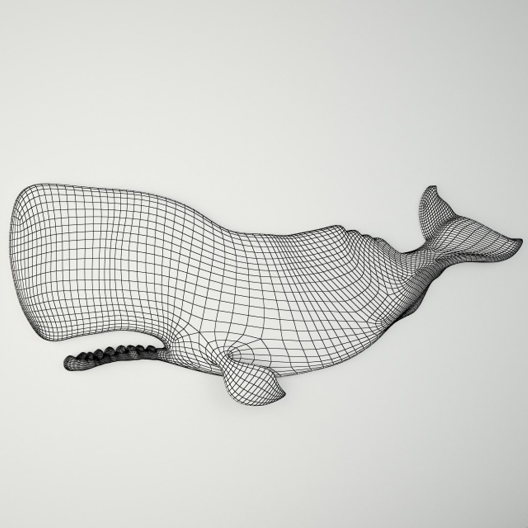 3D whale decoration sunny https://p.turbosquid.com/ts-thumb/zq/rkTTyJ/GhbaYEly/handcarvedspermwhalesunnywooddesigninc5meshpreview2/jpg/1504948686/1920x1080/fit_q87/582edacef93a3e5c5a80374d1844bc3de6bca2ff/handcarvedspermwhalesunnywooddesigninc5meshpreview2.jpg