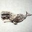 Hand-Carved Sperm Whale