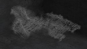3d 3ds dusty spiderweb
