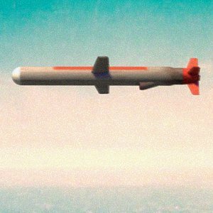 Tomahawk Cruise Missile