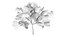 prunus fruits low poly