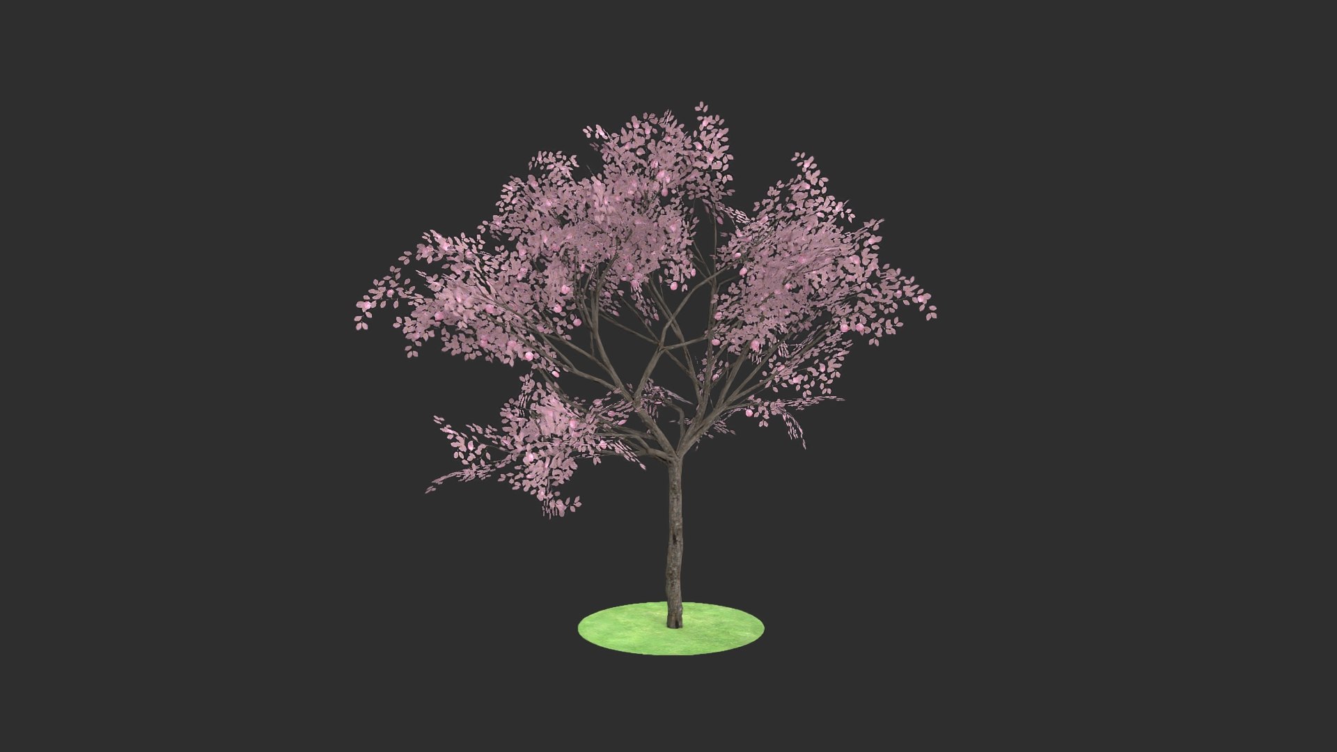 3D prunus fruits https://p.turbosquid.com/ts-thumb/zr/2fm2VT/VAt0XVhP/_denoise.83/jpg/1600106444/1920x1080/fit_q87/b37f32bf1e764f0382457f9f0b3fb197884b053b/_denoise.83.jpg