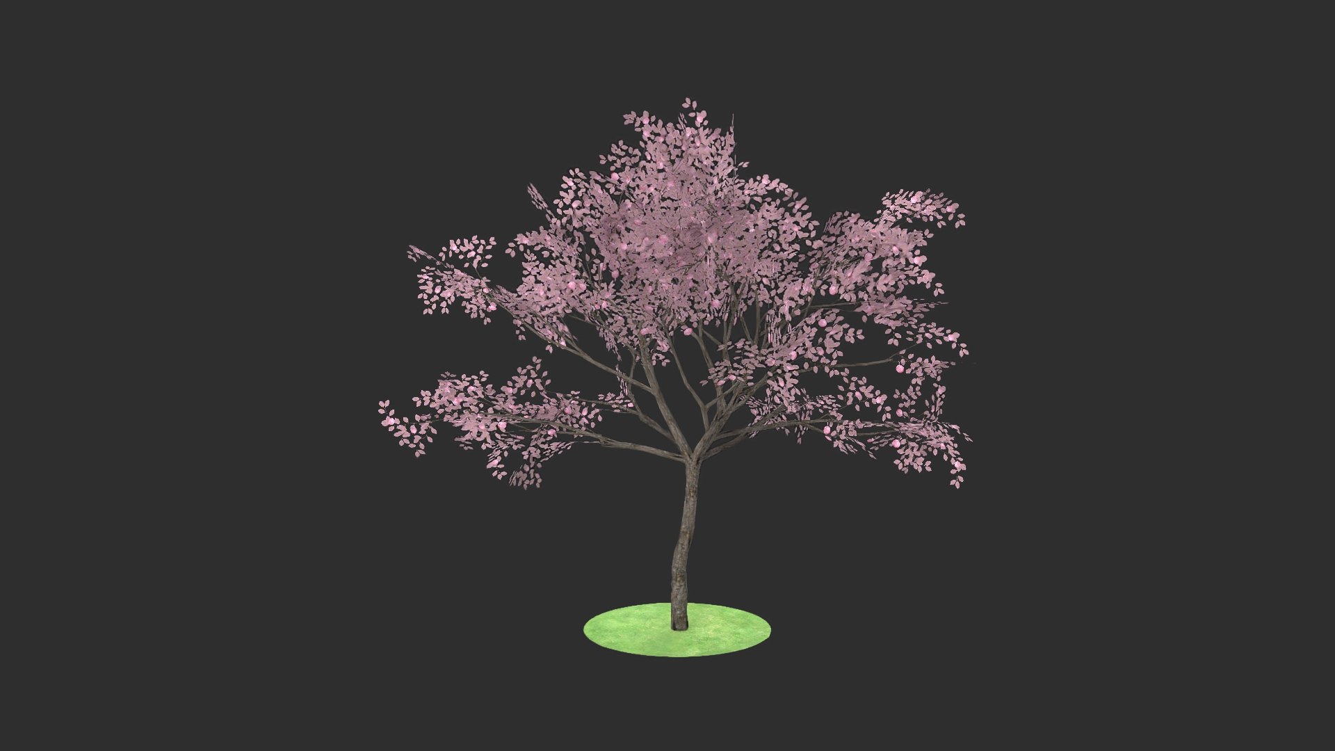 3D prunus fruits https://p.turbosquid.com/ts-thumb/zr/2fm2VT/tyYiGeWA/_denoise.73/jpg/1600106445/1920x1080/fit_q87/2e32bb9bf5c19e81fd46b39b4f9e95a87fcc4b51/_denoise.73.jpg