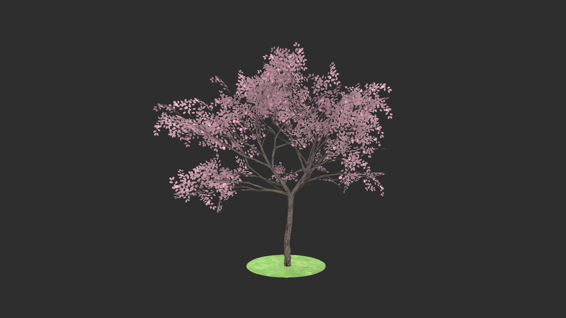 3D prunus fruits https://p.turbosquid.com/ts-thumb/zr/2fm2VT/v96A6LXf/_denoise.72/jpg/1600106442/1920x1080/fit_q87/b01efe51cc0c1124768ce57da10c508776113cc3/_denoise.72.jpg