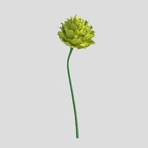 Flower model