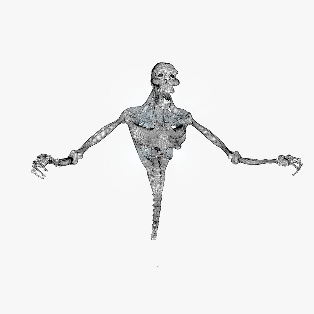 3d Model Rigged