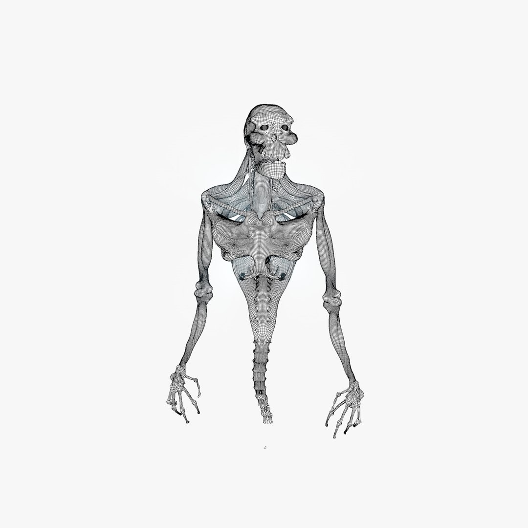 3d Model Rigged