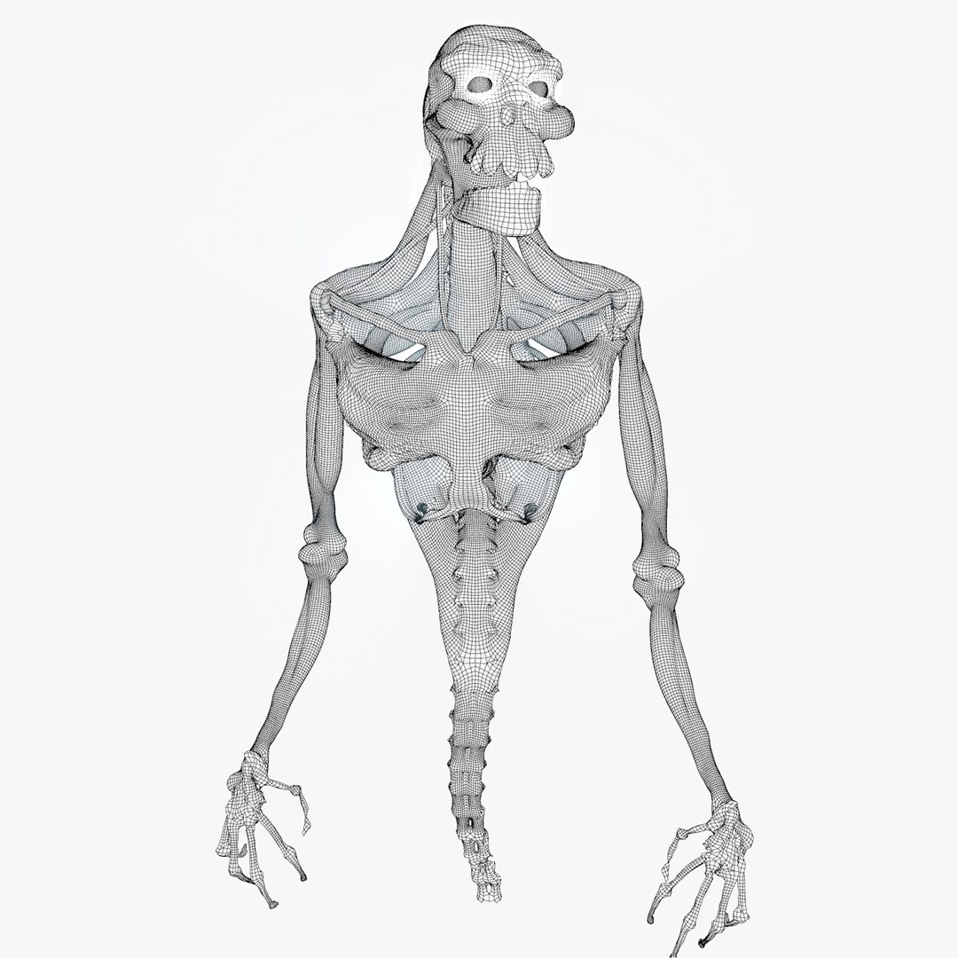 3d Model Rigged