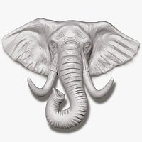 Elephant Head