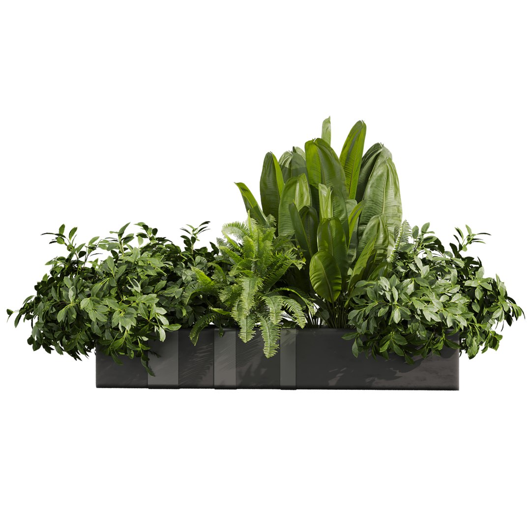 plant vol 1023 - banana - fern - bush 3D https://p.turbosquid.com/ts-thumb/zr/GDOVLS/2n/2/jpg/1789317533/1920x1080/fit_q87/b43835cfa5a62bc29476c3443b86734b3d8452c6/2.jpg