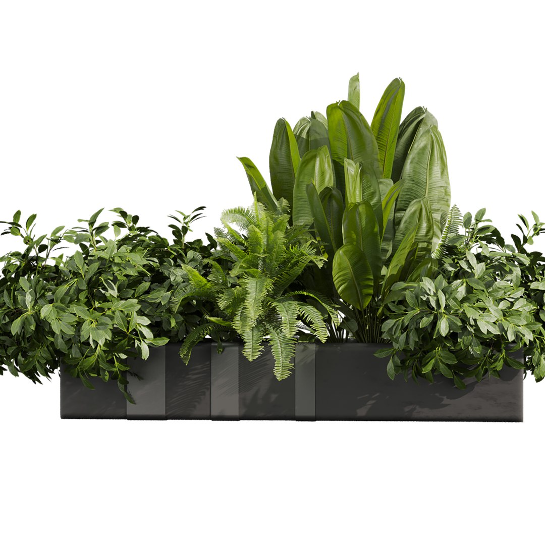 plant vol 1023 - banana - fern - bush 3D https://p.turbosquid.com/ts-thumb/zr/GDOVLS/Co/4/jpg/1789317534/1920x1080/fit_q87/ebc92de647abe9d16130e95004c2073d3f24c648/4.jpg