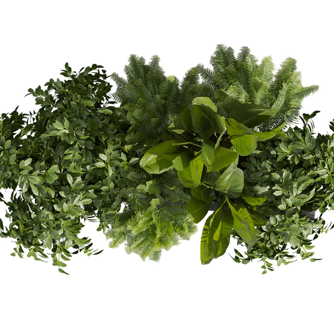 plant vol 1023 - banana - fern - bush 3D https://p.turbosquid.com/ts-thumb/zr/GDOVLS/UU/5/jpg/1789317536/1920x1080/fit_q87/81868e6f2869e63102fb3b50ec435a9517919f51/5.jpg