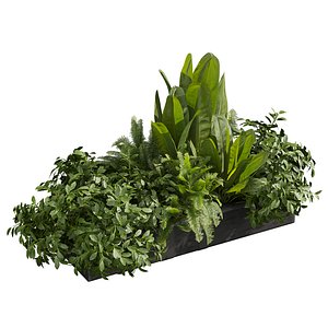 plant vol 1023 - banana - fern - bush 3D