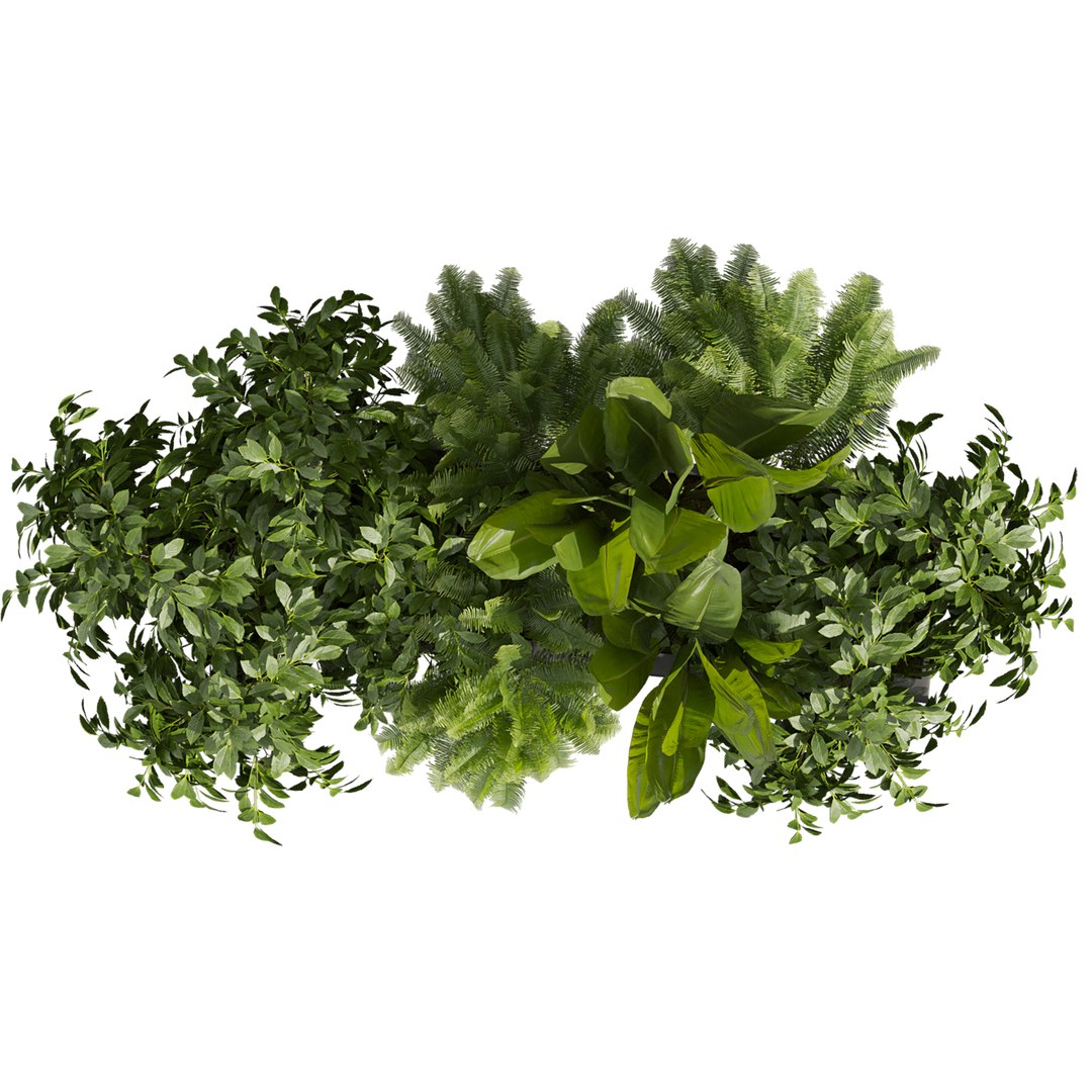 plant vol 1023 - banana - fern - bush 3D https://p.turbosquid.com/ts-thumb/zr/GDOVLS/zA/3/jpg/1789317534/1920x1080/fit_q87/c2a8d73af1a0854cec39bd4af763114b39caf43d/3.jpg