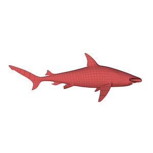 3d model base mesh hammerhead shark