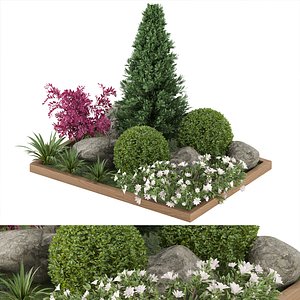 plants collection vol 17 3D model