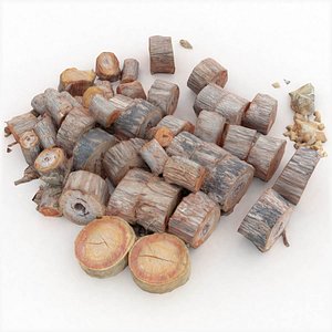 Realistic Wooden Log Pile