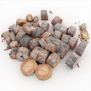 Realistic Wooden Log Pile