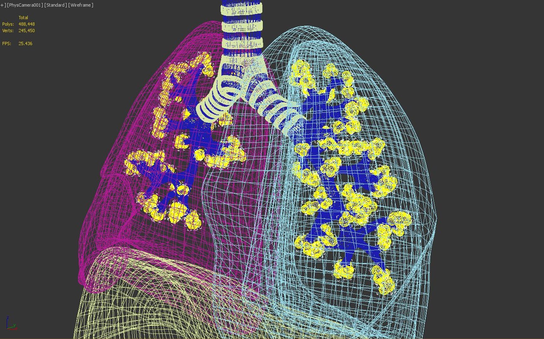 3D lungs bronchus https://p.turbosquid.com/ts-thumb/zr/nx0kEW/TBA48e67/capture/jpg/1559861891/1920x1080/fit_q87/2376d048c86b1f9b2bba7c225a05b0b9cd3163af/capture.jpg