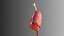Lungs Animated