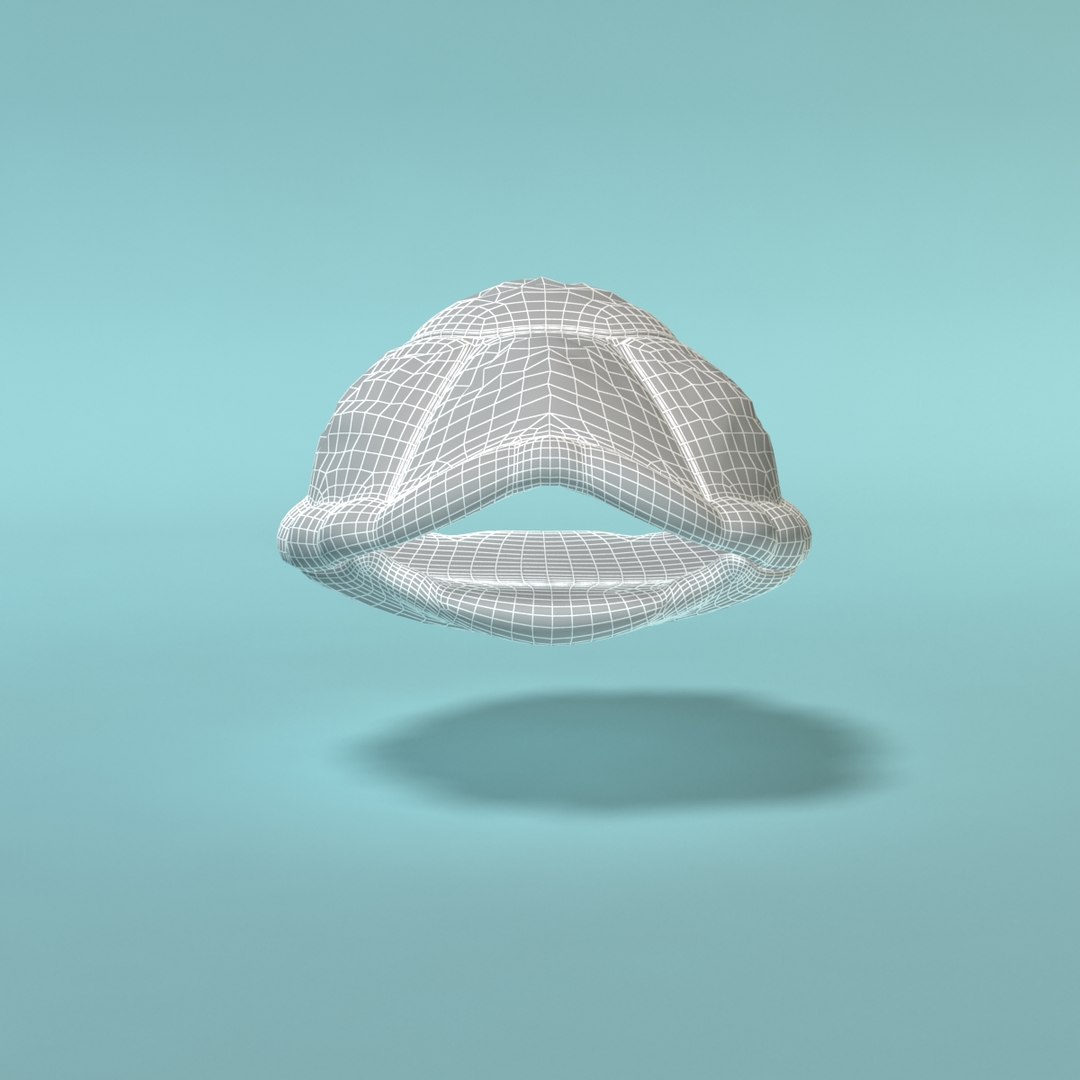 Turtle Toon 3d Max