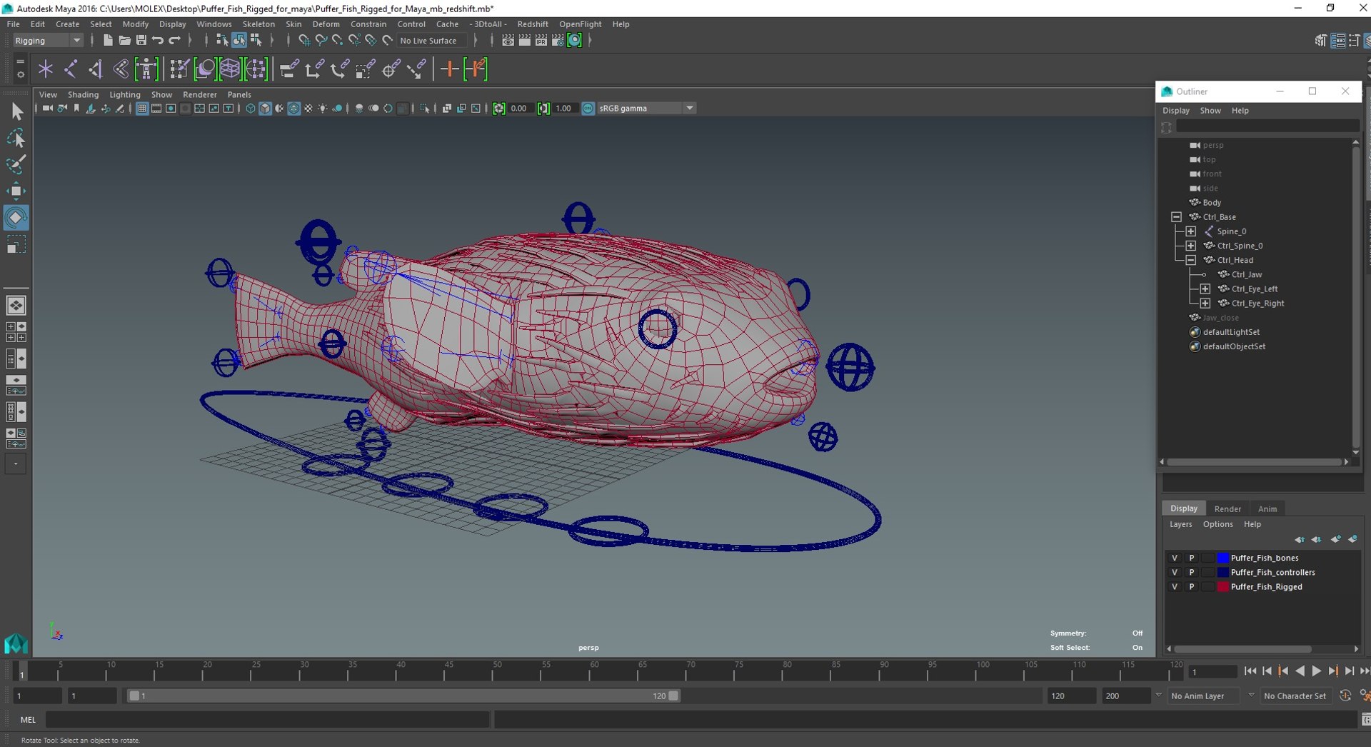 3D Puffer Fish Rigged For Maya Model - TurboSquid 2191748
