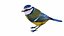 Collection d'oiseaux et de nichoirs 7 en 1