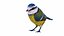 Collection d'oiseaux et de nichoirs 7 en 1