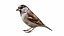 Collection d'oiseaux et de nichoirs 7 en 1