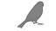 Collection d'oiseaux et de nichoirs 7 en 1