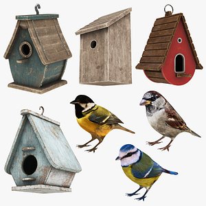 Bird and Bird House Collection 7 in 1 3D