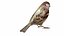 Collection d'oiseaux et de nichoirs 7 en 1