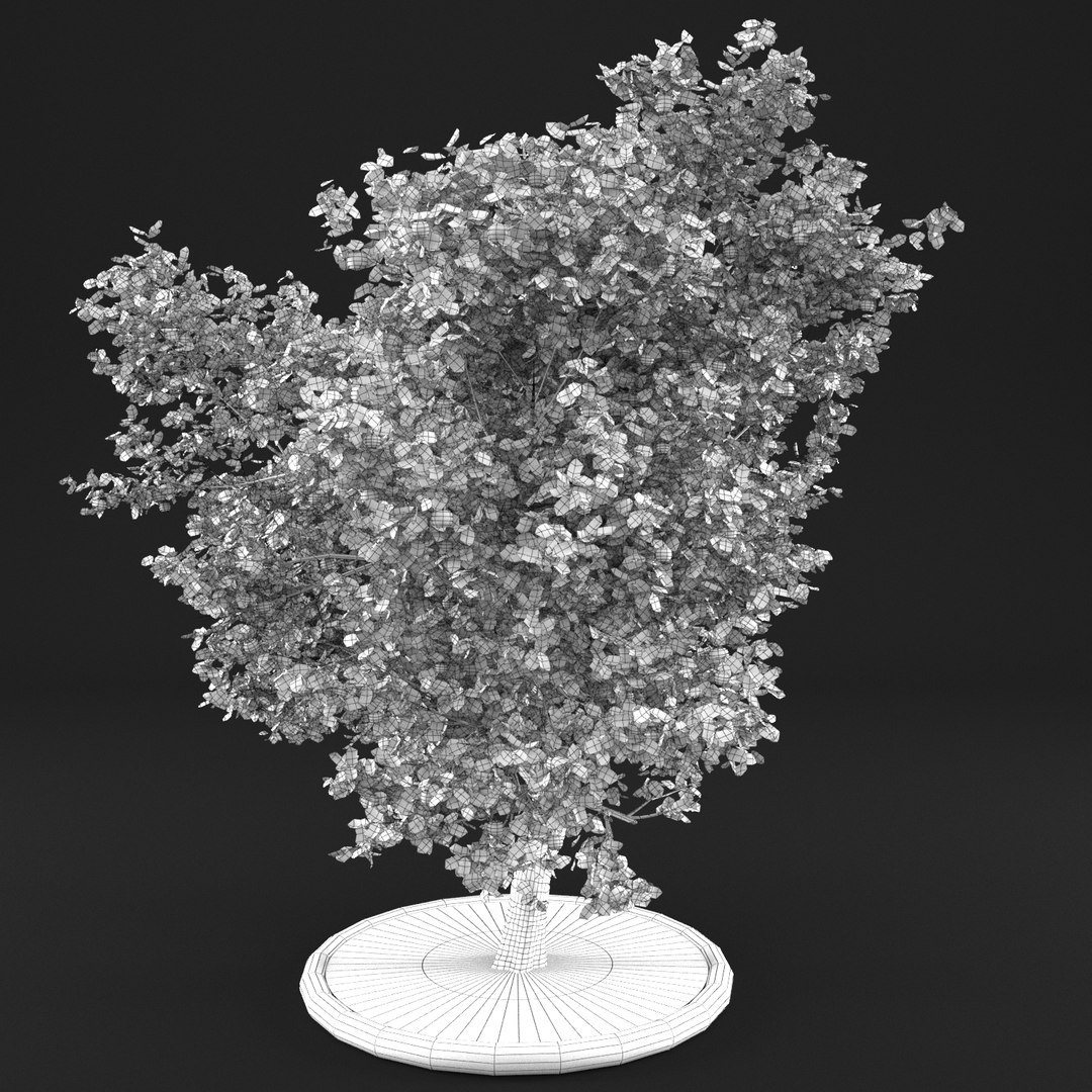 3D apple tree https://p.turbosquid.com/ts-thumb/zs/BpHHXQ/C4UaXvz4/20000007/png/1495359755/1920x1080/fit_q87/257b82e5150a1c9c8f850515845ac3f98e730226/20000007.jpg