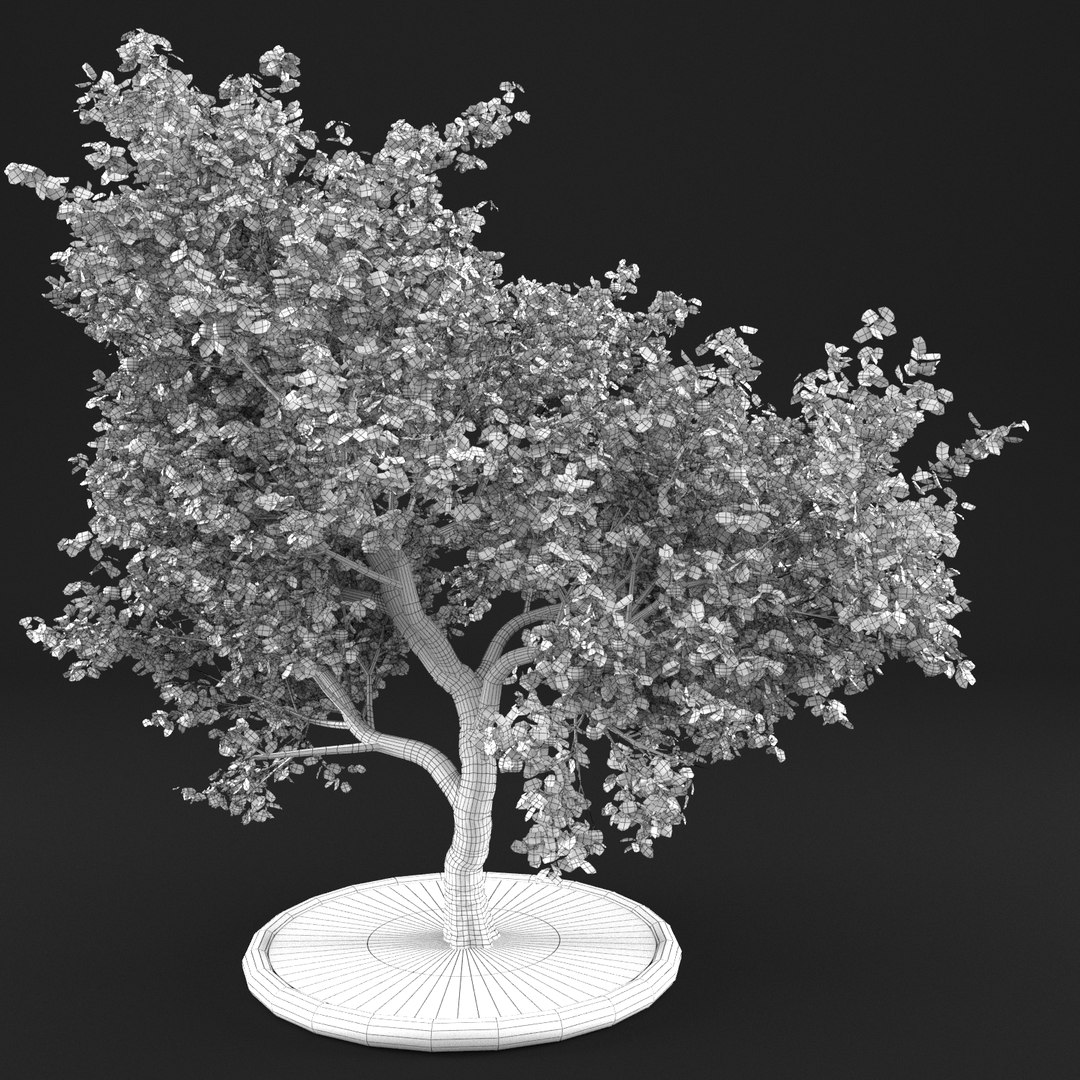 3D apple tree https://p.turbosquid.com/ts-thumb/zs/BpHHXQ/H3fGBqfA/20000001/png/1495359755/1920x1080/fit_q87/32ee12172123dfe26cbe5c11029ab0ccc69a9d11/20000001.jpg