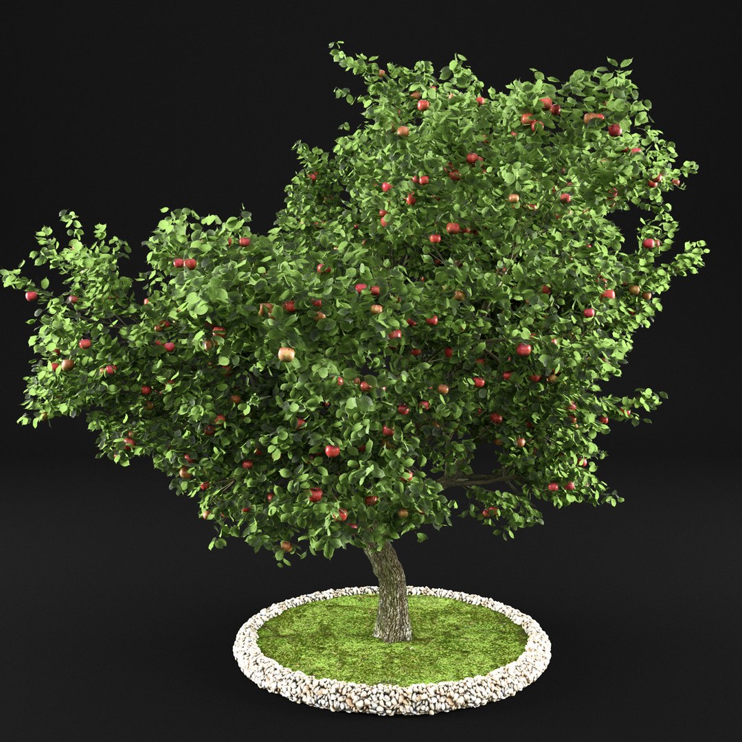 3D apple tree https://p.turbosquid.com/ts-thumb/zs/BpHHXQ/I88GII7l/10000004/jpg/1495359662/1920x1080/fit_q87/609fc6c3930660a617dd20c01ce44c180c7f46d9/10000004.jpg