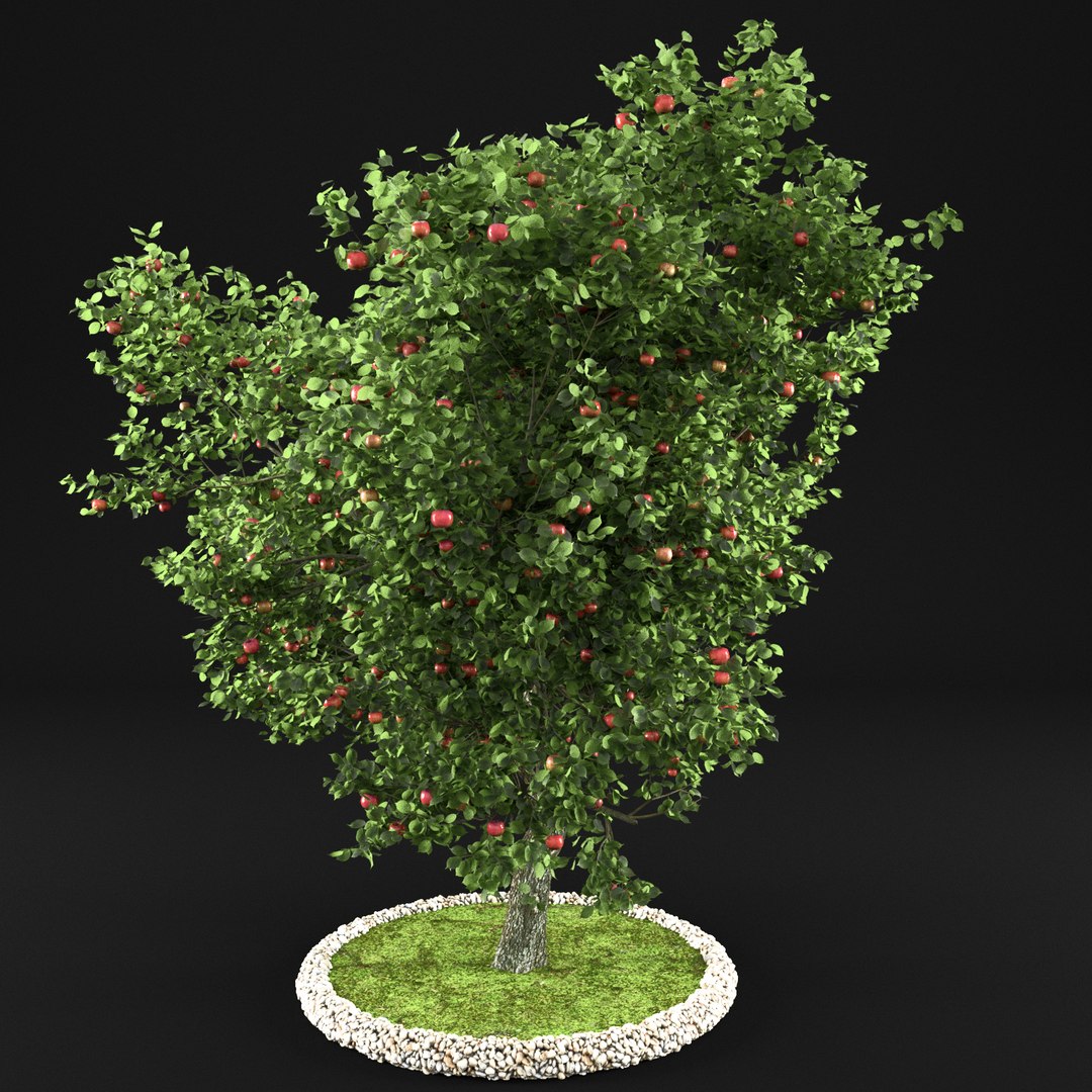 3D apple tree https://p.turbosquid.com/ts-thumb/zs/BpHHXQ/P0UGcwWQ/10000007/jpg/1495359662/1920x1080/fit_q87/c4a8be9d732a4110acda3805215830ccbba55caa/10000007.jpg